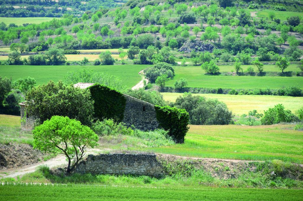 Hostal Palouet De Segarra Kültér fotó